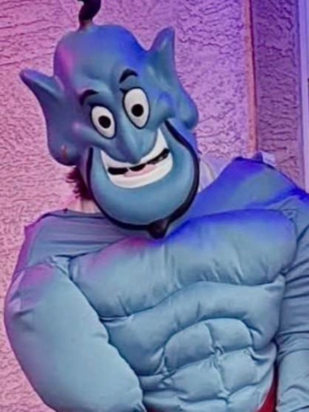 Aladdin Costume - Picture 4 of 4